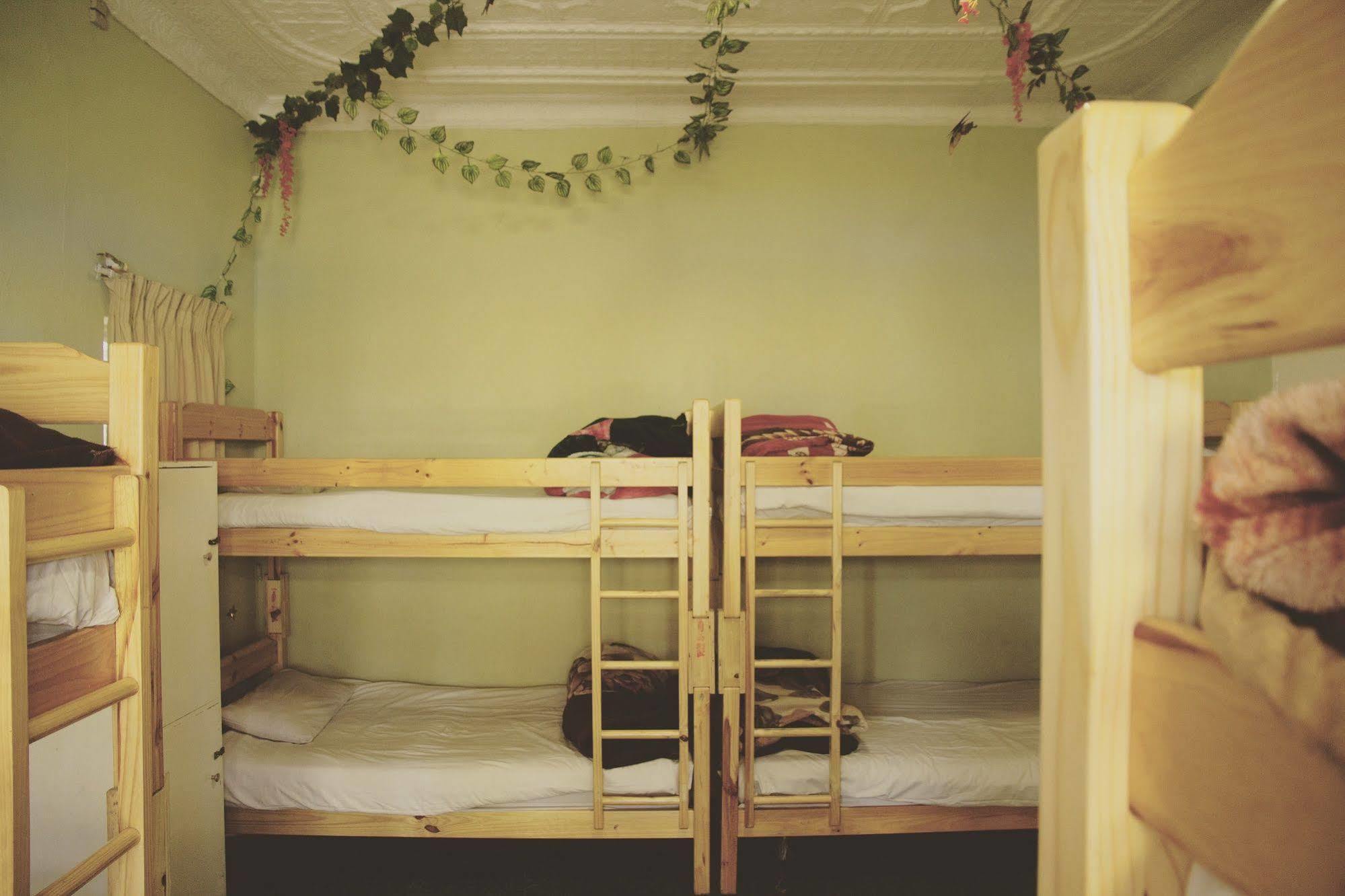 Homebase Melville Backpackers Johannesburg Exterior photo